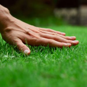 Hand touches artificial grass blades