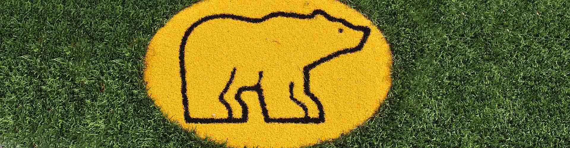 Large yellow bear mascot logo inlaid into artificial turf on a sports field, showcasing custom field graphics.