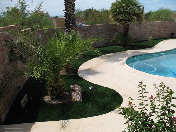 Artificial grass landscaping with palm trees and desert rock border alongside residential pool and travertine pool deck