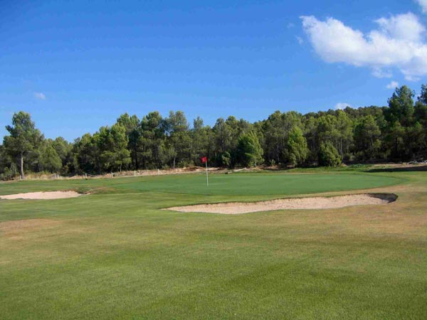 Artificial putting green golf course hole with red flag, sand bunkers, and tree-lined fairway under blue sky