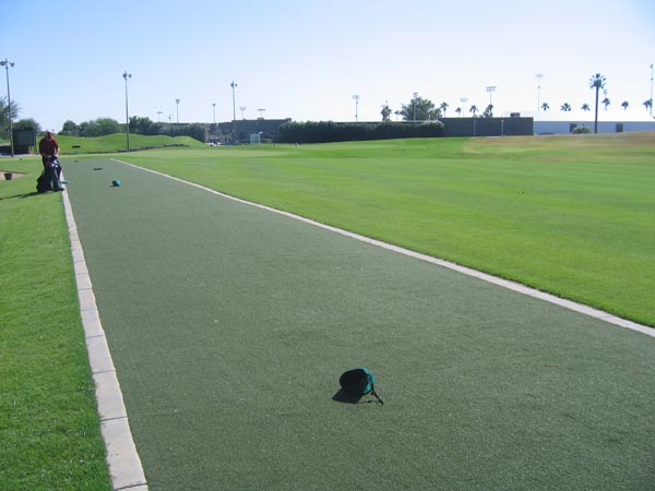 Artificial turf tee lines at commercial golf driving range with open fairway and palm tree lined perimeter