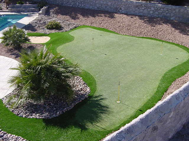 Backyard putting green with palm tree, desert rock landscaping, and sand bunker adjacent to residential pool