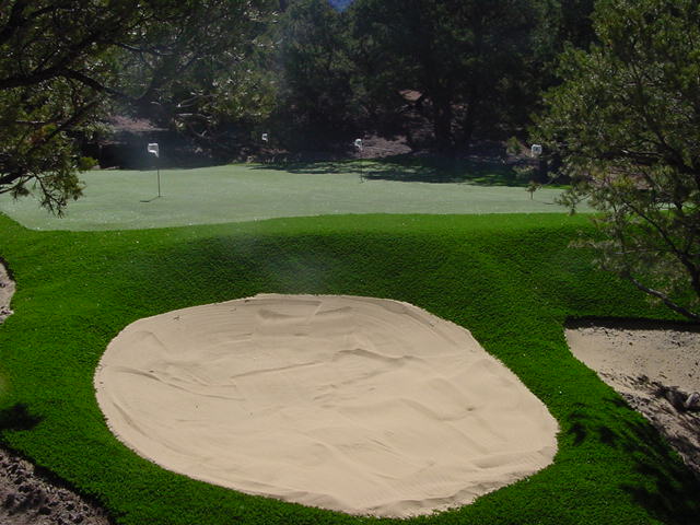 Backyard putting green with large sand bunker and mature tree canopy in wooded residential landscape