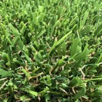 Close-up of artificial grass turf, featuring natural color variation and durable fibers for residential lawns, commercial landscapes, and sports applications by Southwest Greens.