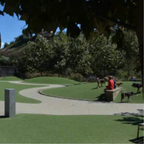 What to Understand Prior to When You Spec a Dog Park Surface in Albuquerque