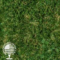 A close up image of artificial grass that is green with some brown.