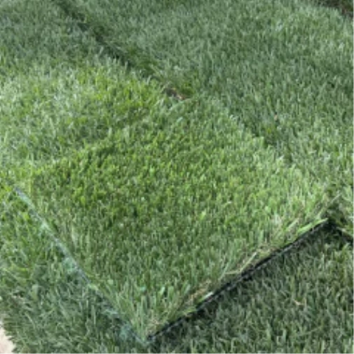 Introducing Wide Blade Turf in Albuquerque