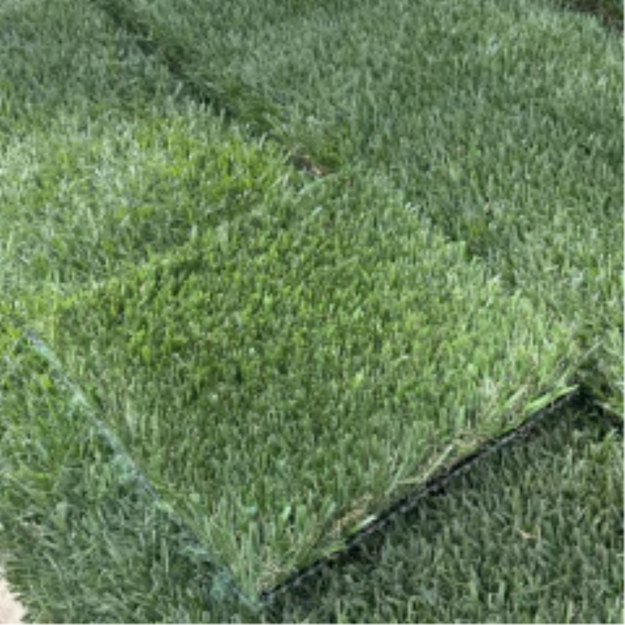 Introducing Wide Blade Turf in Albuquerque