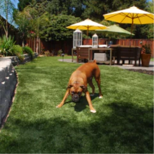 Ways fake grass for dogs Upgrades Your Albuquerque Outdoor Space