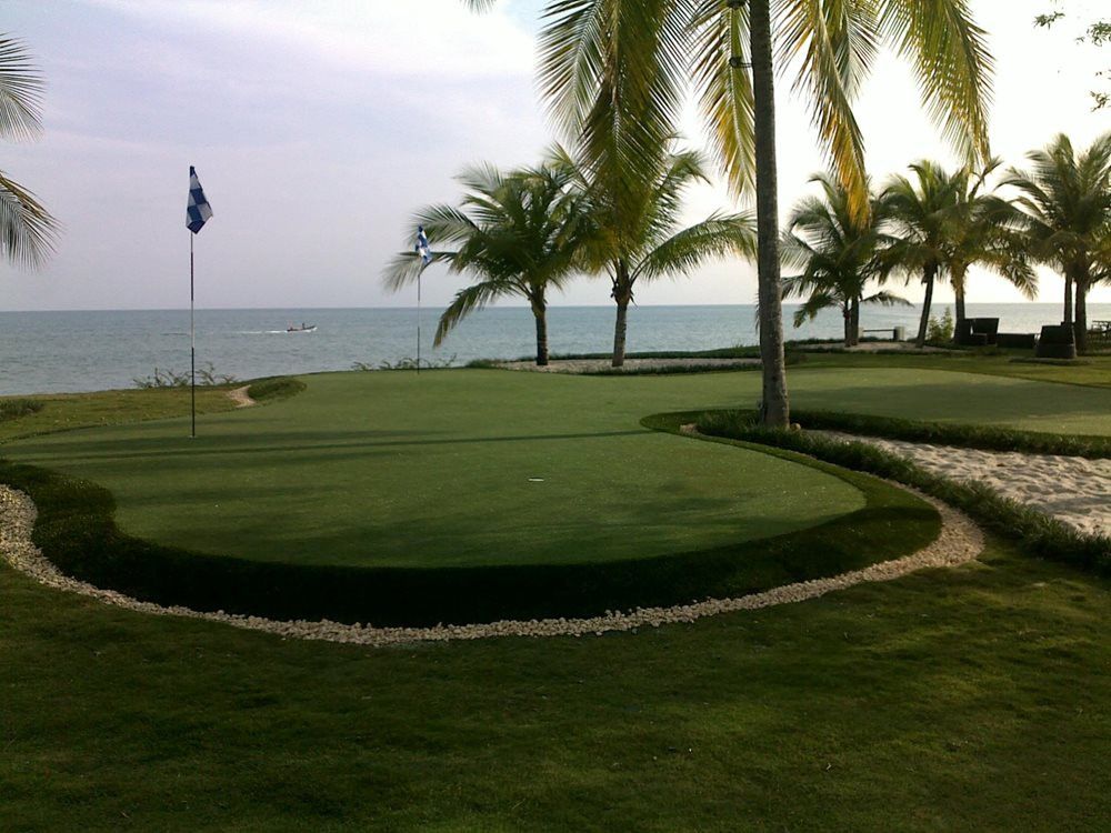 Albuquerque artificial grass landscaping