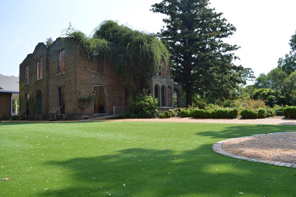 Albuquerque artificial grass landscaping