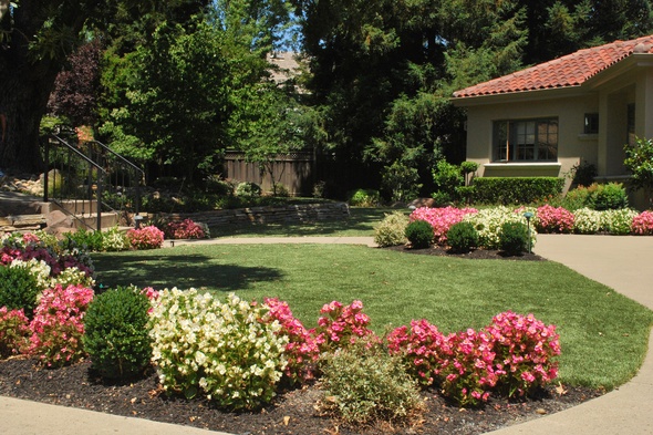 Albuquerque Artificial Turf Lansdscaping
