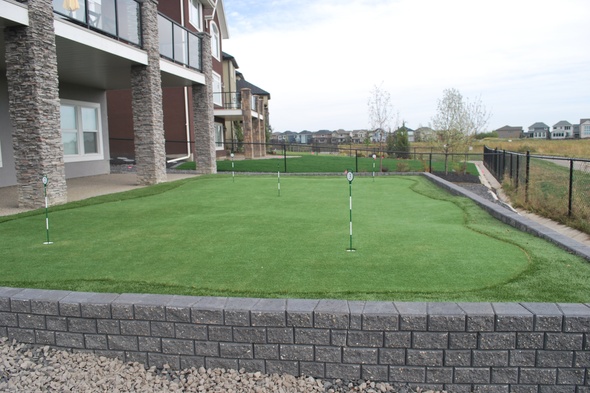 Albuquerque residential backyard putting green grass near modern home with golf flags