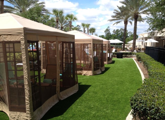 Albuquerque commercial landscape turf