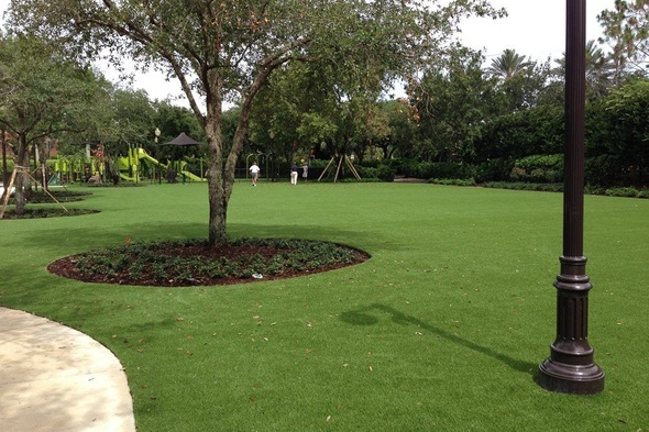 Albuquerque commercial artificial grass landscaping