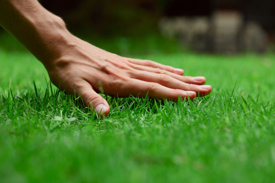Hand touches artificial grass blades