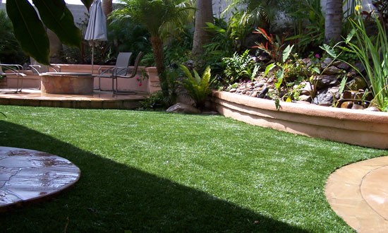 Pet grass solutions in New Mexico